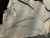купить плитняк златолит серебристый